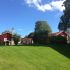Grönt gräs med röda hus.